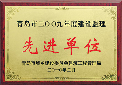 2009年市先進單位